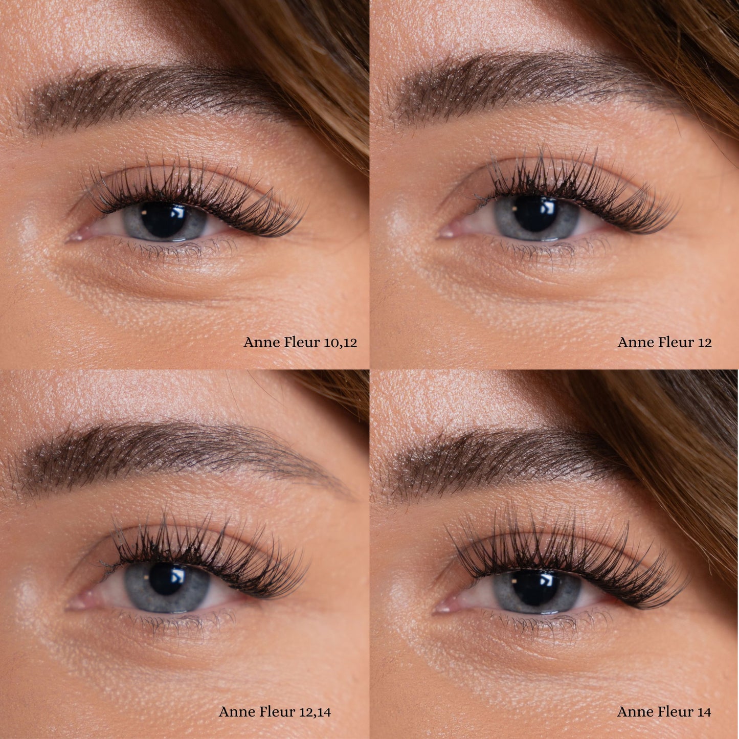 Anne Fleur | Style: Medium (BRAUN)