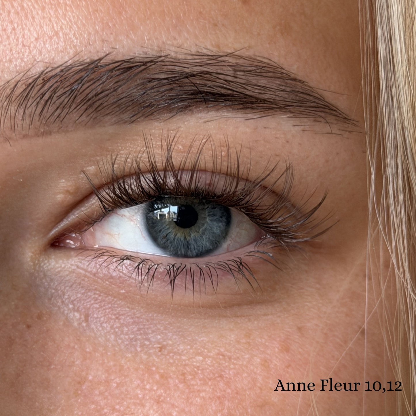 Anne Fleur | Style: Medium (BRAUN)