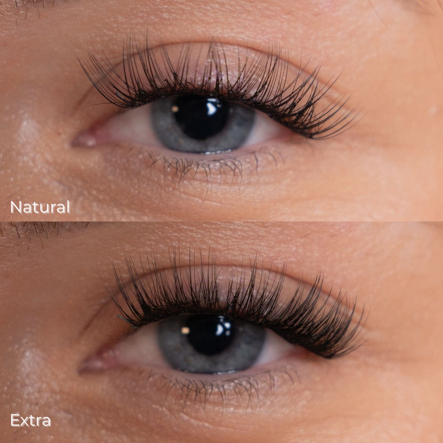 Komplettes Starter Kit – Alles, was Sie für den Anfang brauchen