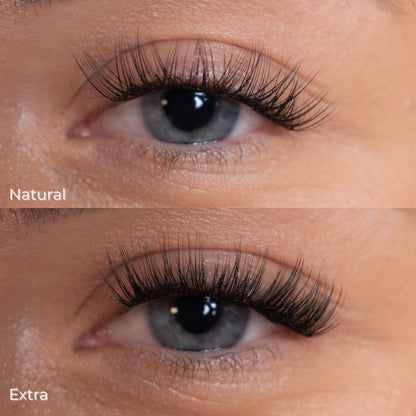 Komplettes Starter Kit – Alles, was Sie für den Anfang brauchen