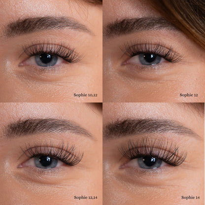 Sophie | Stil: Medium