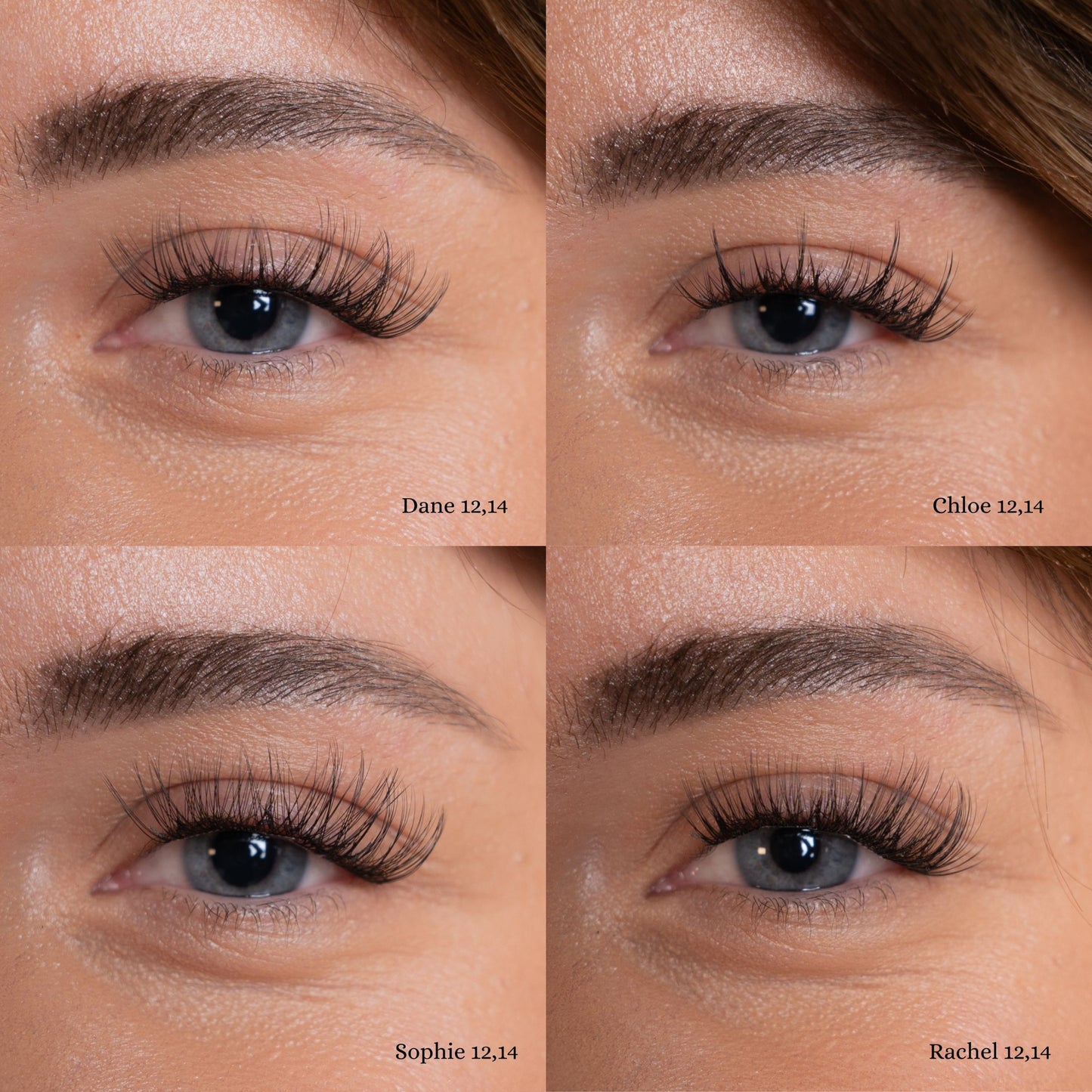 Anne Fleur | Style: Medium (BRAUN)